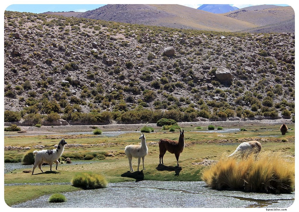 Discovering the Otherworldly Landscapes of Chile s Atacama Desert: A Photo Essay