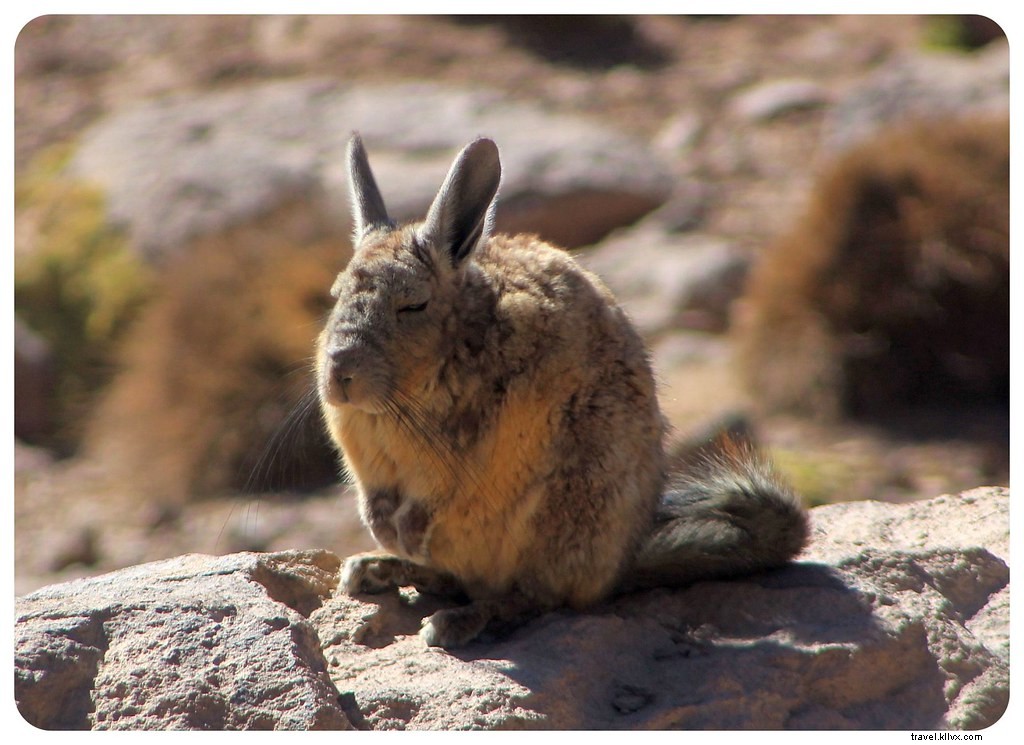 Discovering the Otherworldly Landscapes of Chile s Atacama Desert: A Photo Essay