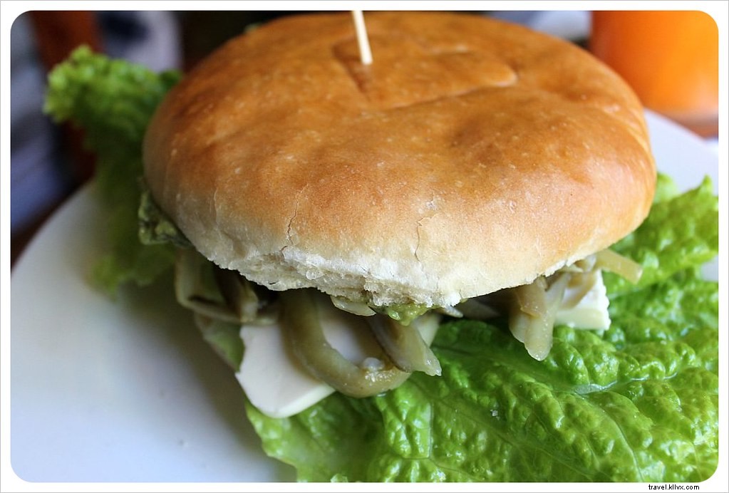 Our Honest Review of Chilean Cuisine After 100+ Days of Travel