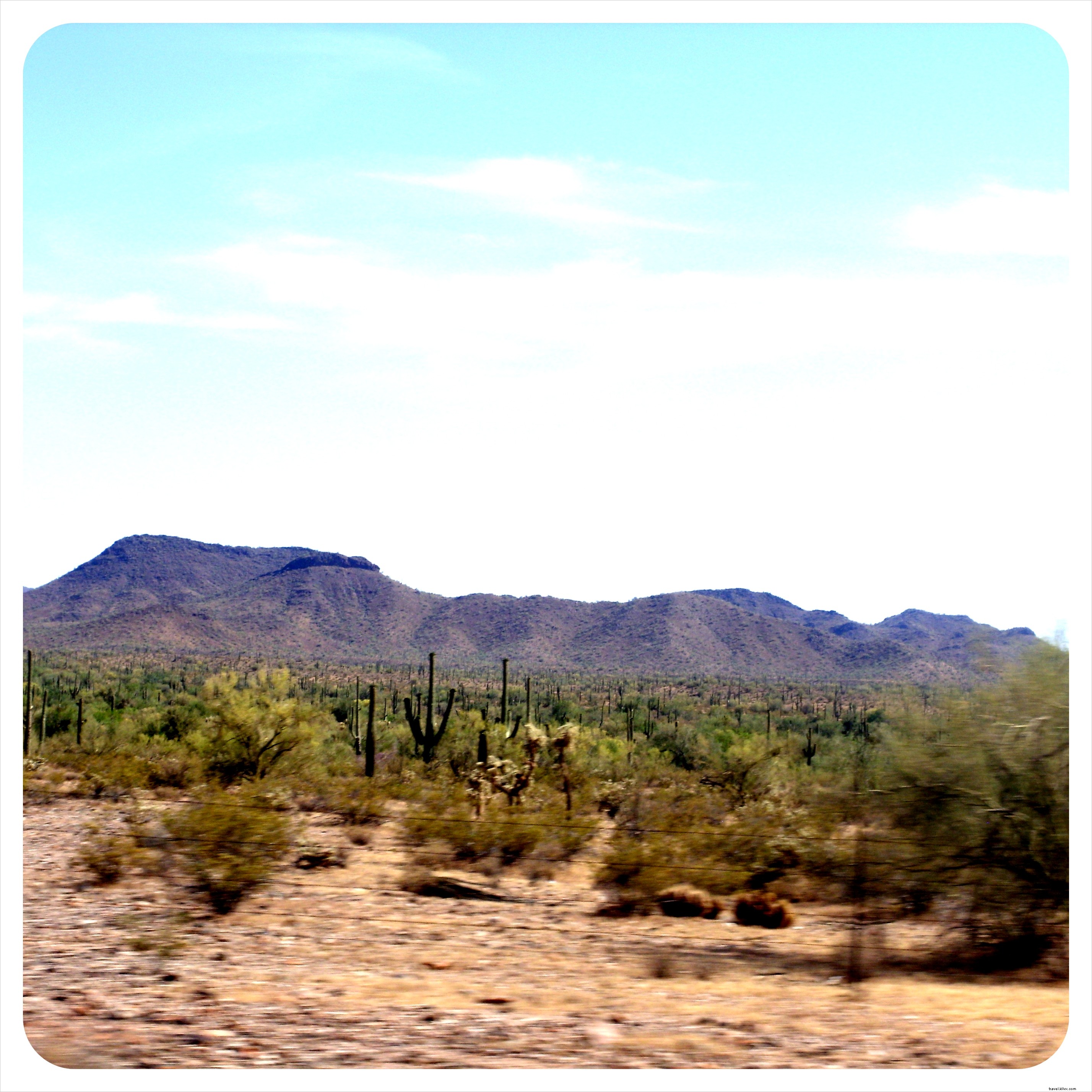 Road Trip from San Diego to Tucson: Borderline Adventures in the Sonoran Desert