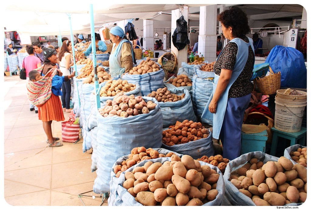 Hunting Authentic Quinoa in South America: Straight from Andean Farmers