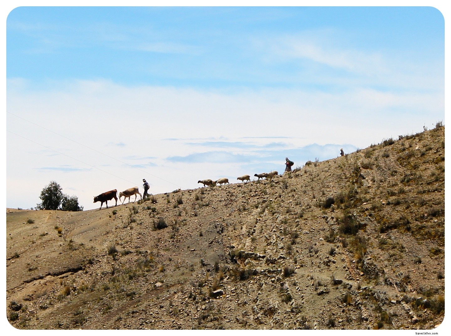 20km Hike Along Lake Titicaca Shores: Discovering Rural Bolivia from Copacabana