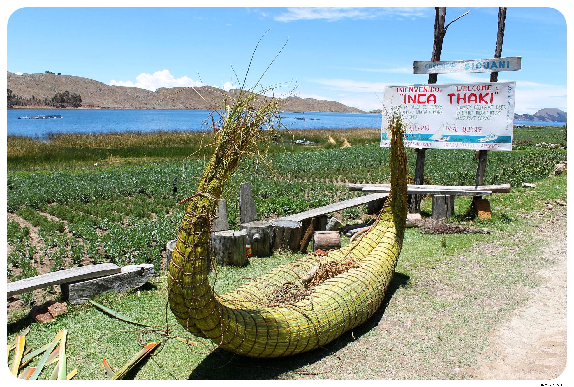 20km Hike Along Lake Titicaca Shores: Discovering Rural Bolivia from Copacabana