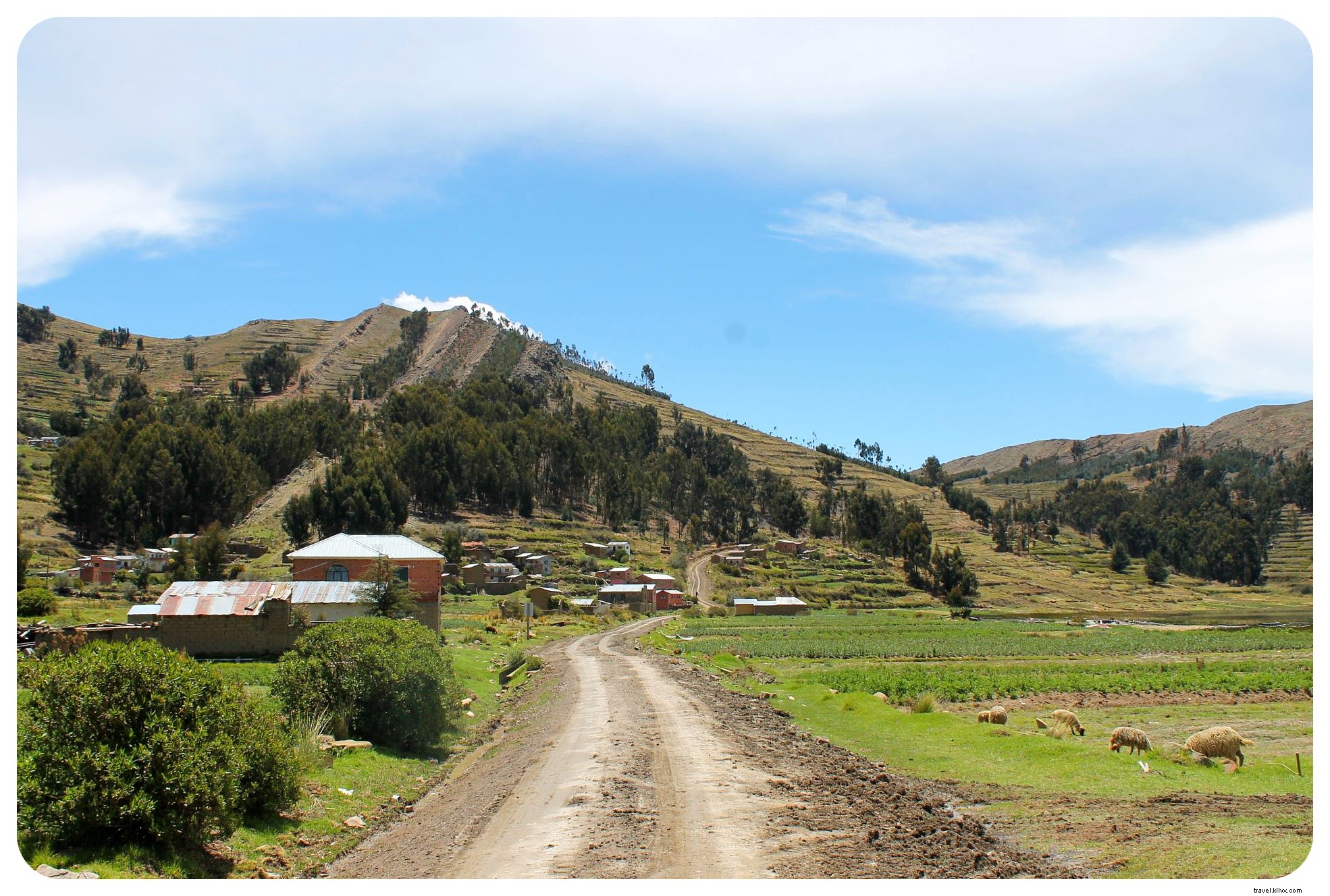 20km Hike Along Lake Titicaca Shores: Discovering Rural Bolivia from Copacabana