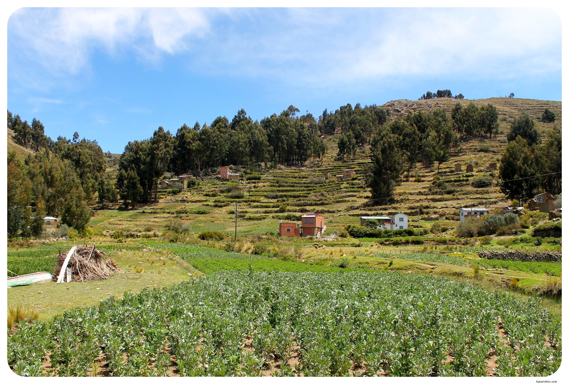 20km Hike Along Lake Titicaca Shores: Discovering Rural Bolivia from Copacabana