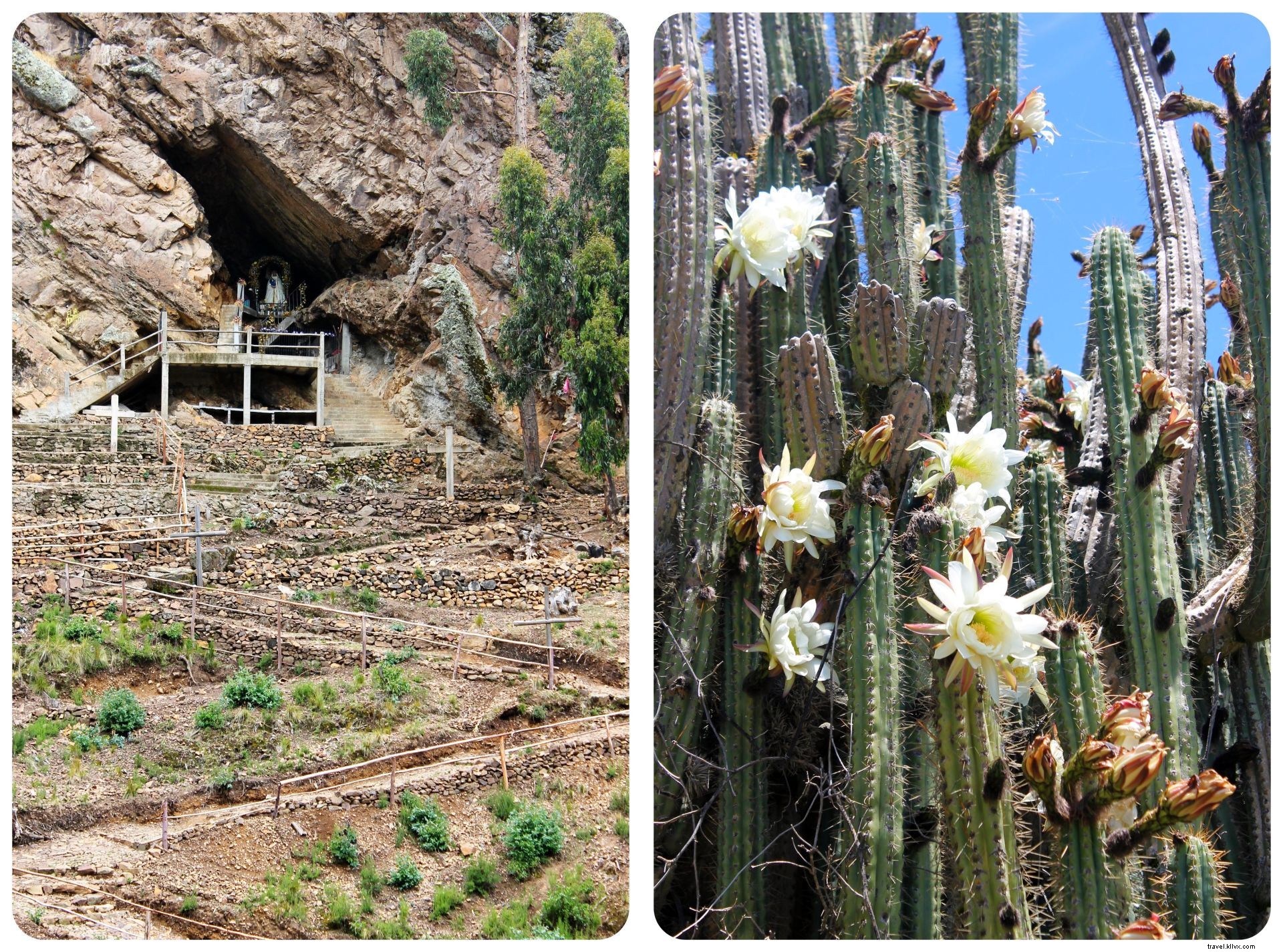 20km Hike Along Lake Titicaca Shores: Discovering Rural Bolivia from Copacabana