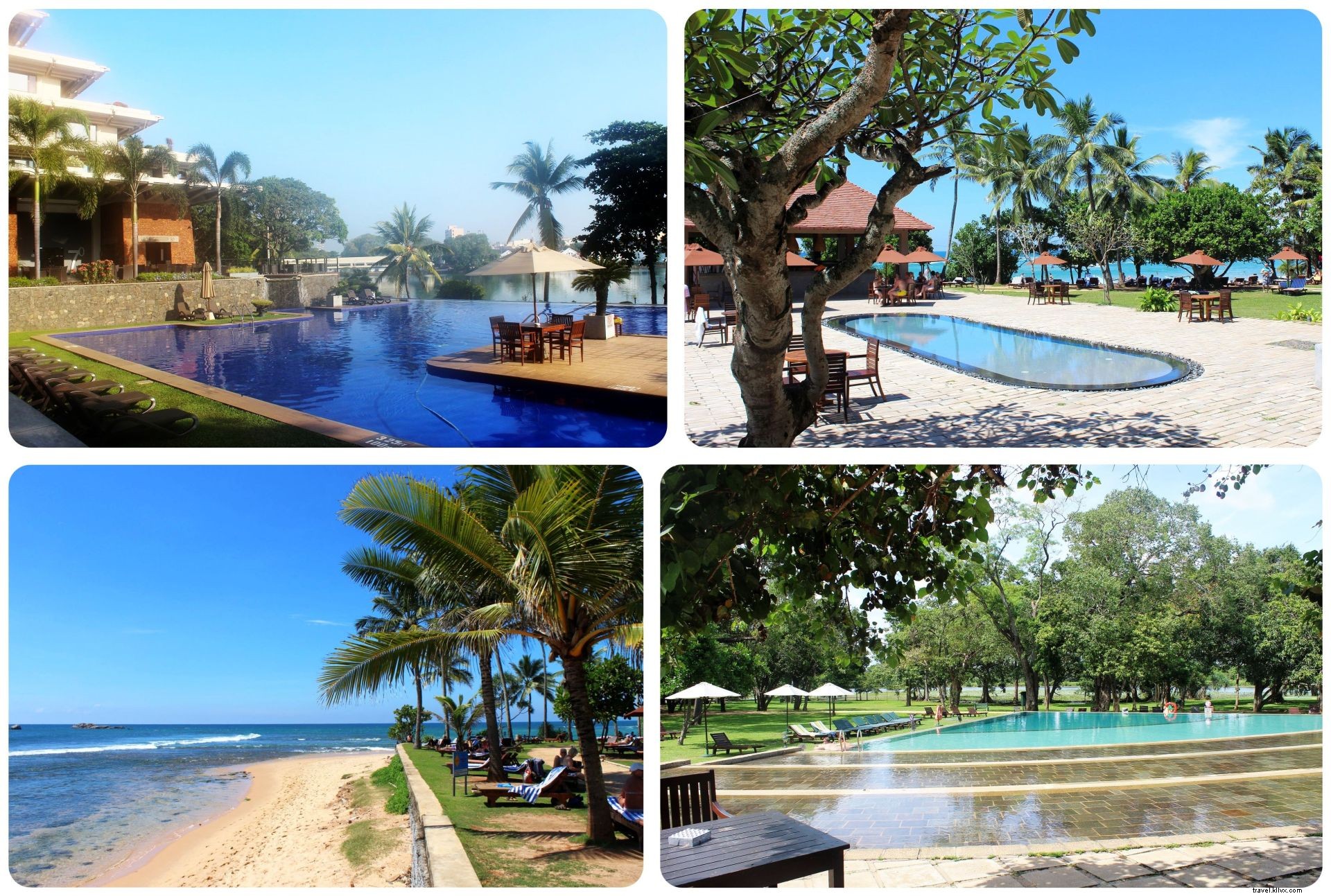 Ultimate Sri Lanka Itinerary for First-Time Visitors: The Cinnamon Trail Guide