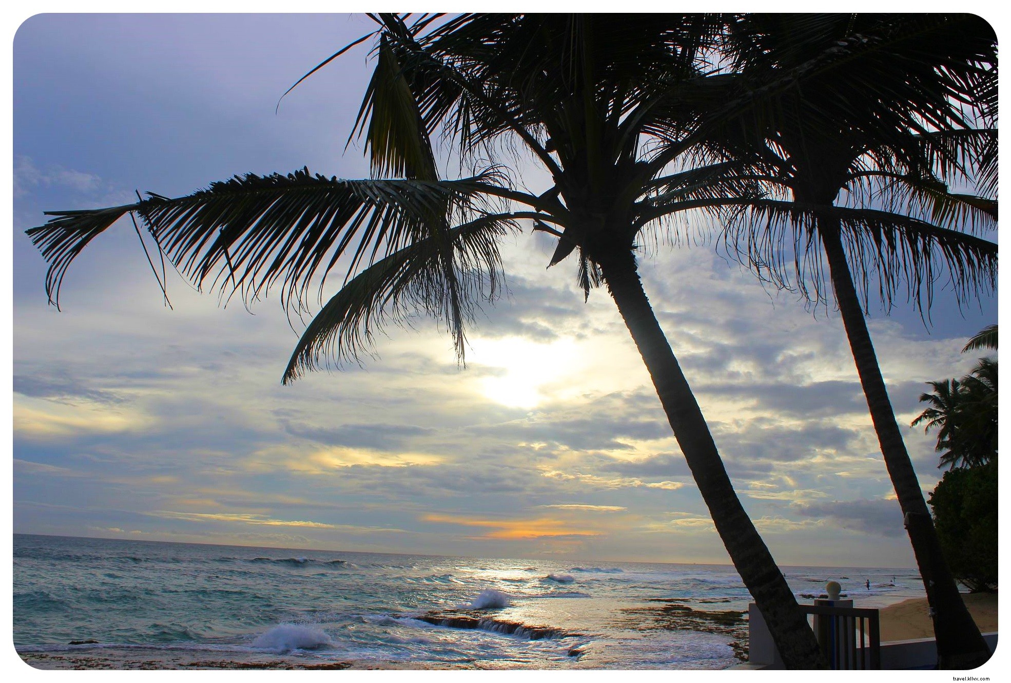 Ultimate Sri Lanka Itinerary for First-Time Visitors: The Cinnamon Trail Guide