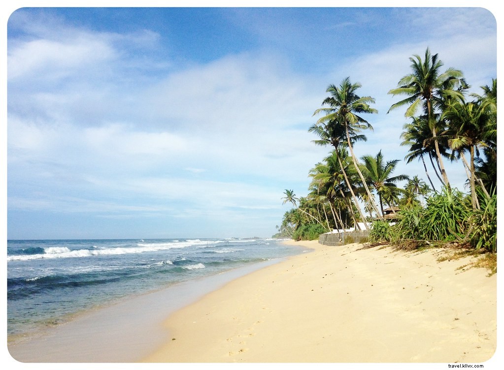 Sri Lanka Travel Costs: Detailed Budget Breakdown from a 5-Week Trip