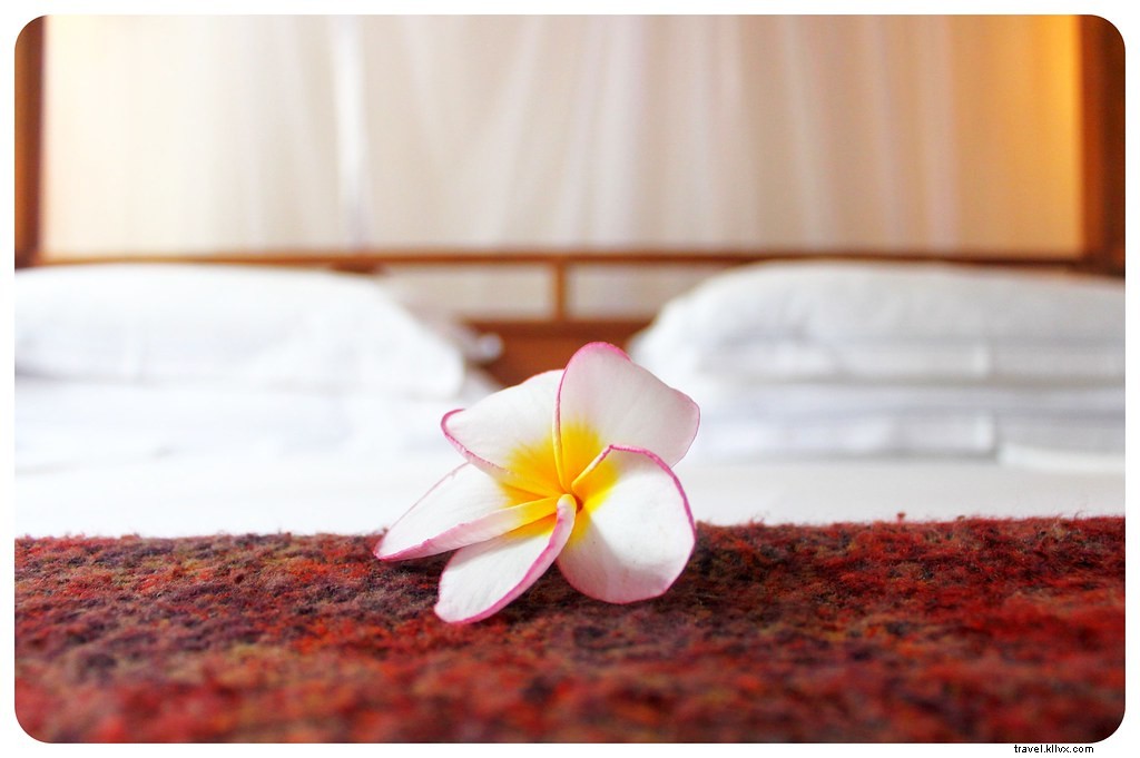 Sri Lanka Travel Costs: Detailed Budget Breakdown from a 5-Week Trip