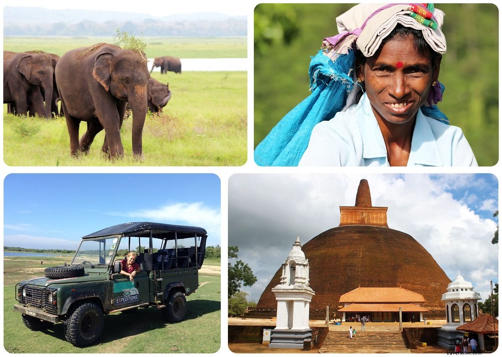 Sri Lanka Travel Costs: Detailed Budget Breakdown from a 5-Week Trip