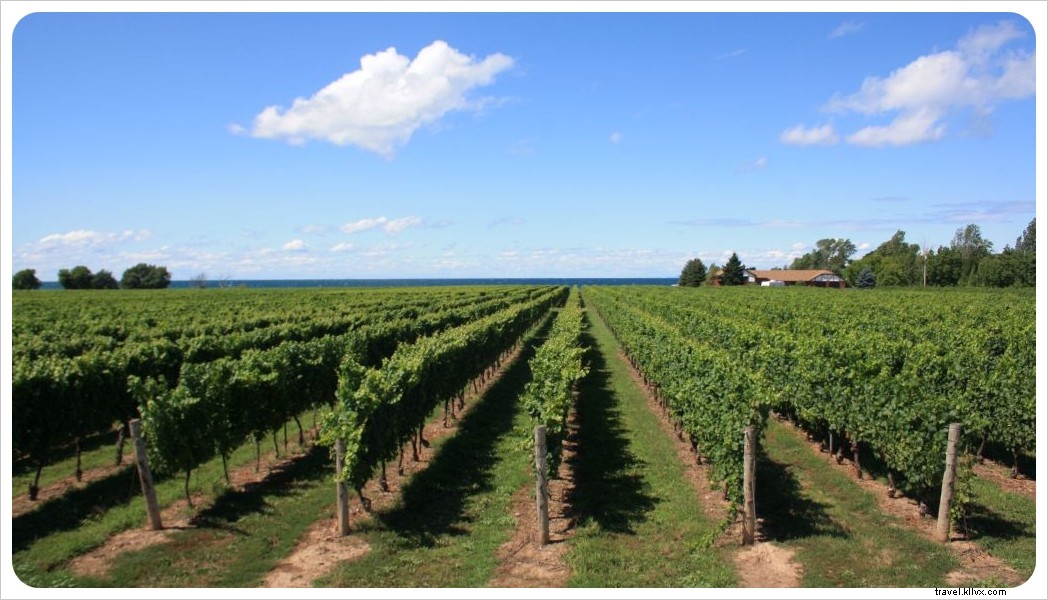 Ultimate Budget Niagara Falls Itinerary: Affordable Tips for an Unforgettable Trip