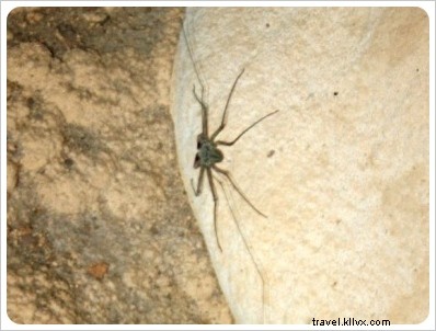 Belize ATM Cave Tour: Our Thrilling Adventure into Ancient Maya Mysteries