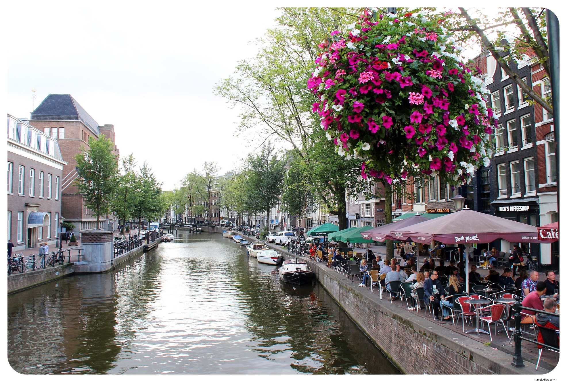 10 Insider Tips for Amsterdam: Hidden Gems and Local Secrets from a Recent Visitor