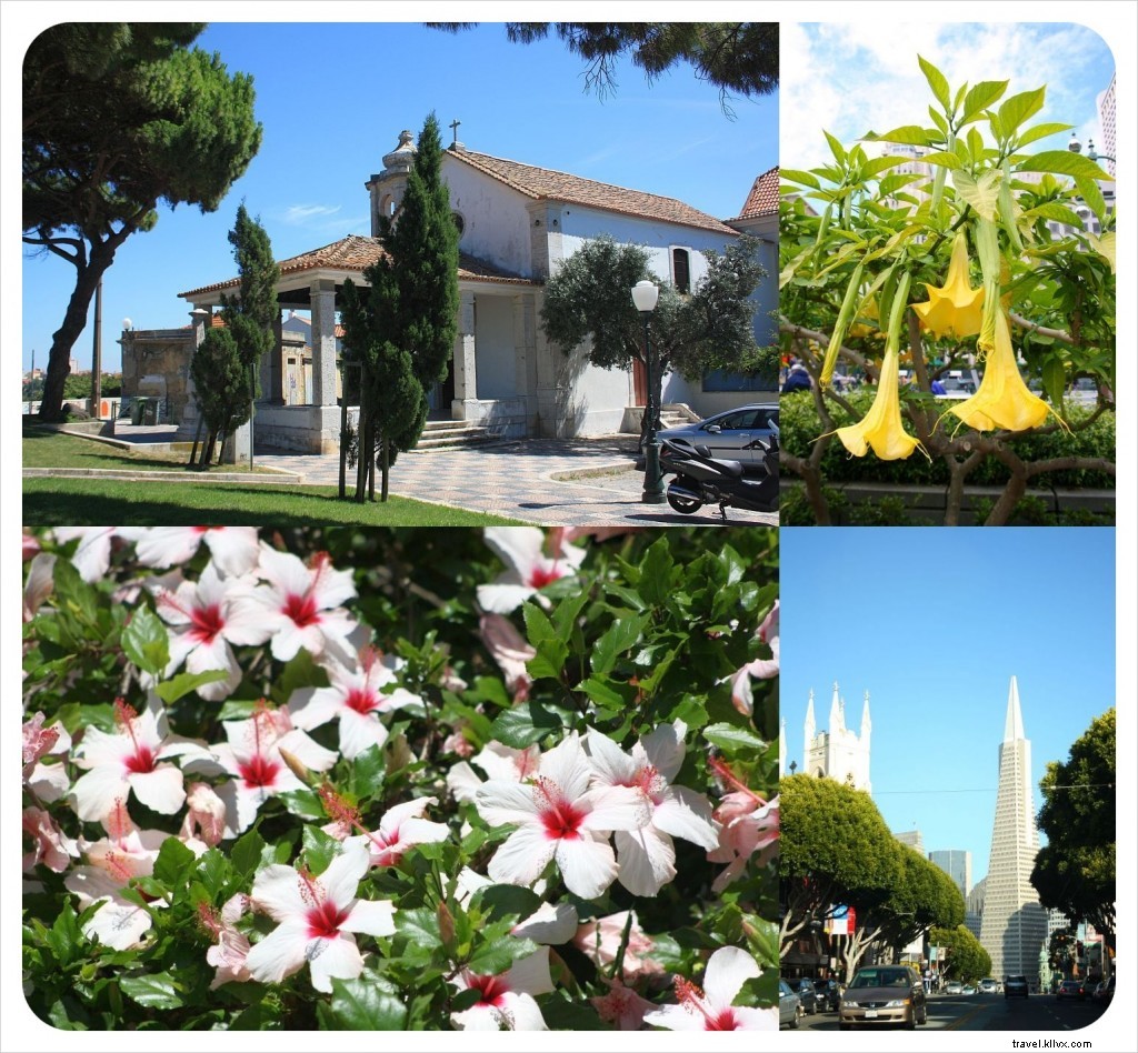 Striking Similarities Between Lisbon and San Francisco: A Traveler s Guide