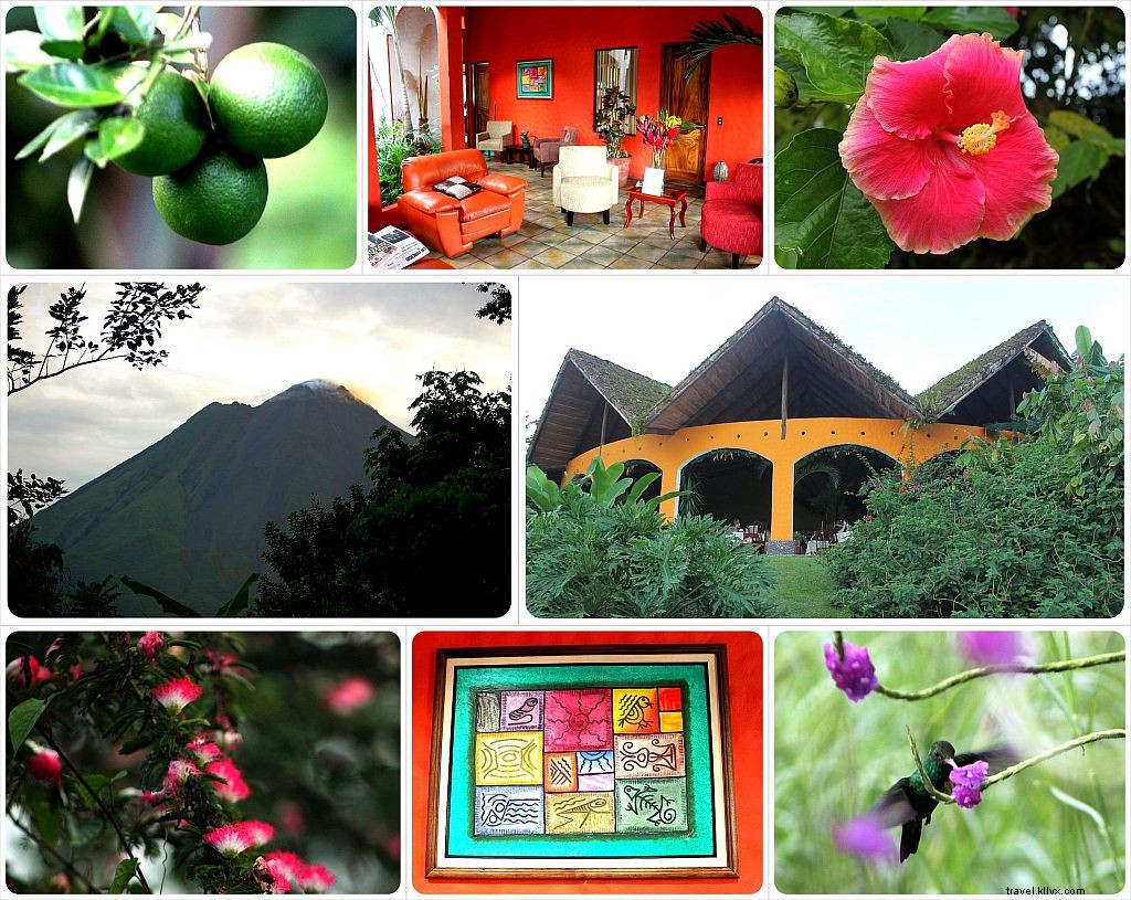 Mountain Paradise Hotel Review: Luxurious Retreat with Volcano Views in La Fortuna, Costa Rica
