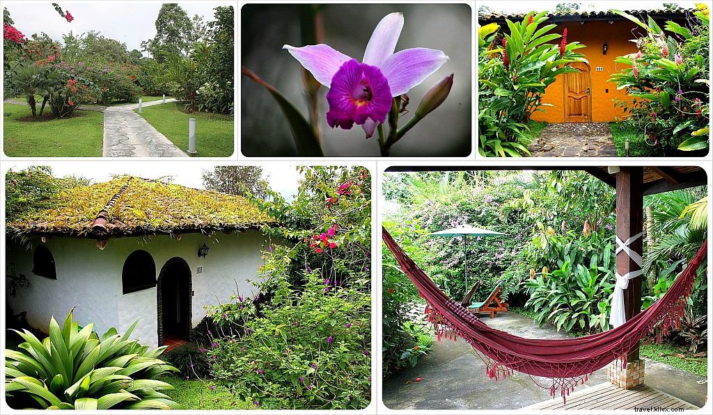 Mountain Paradise Hotel Review: Luxurious Retreat with Volcano Views in La Fortuna, Costa Rica