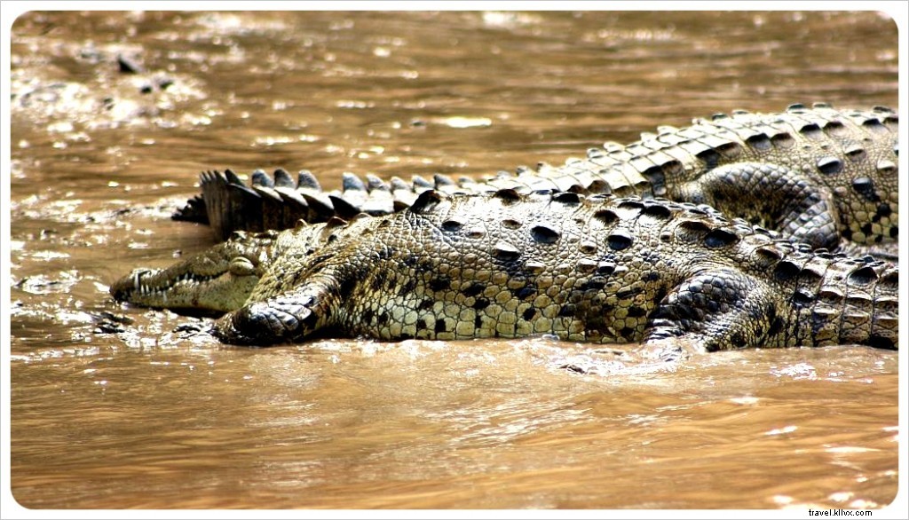 Sumidero Canyon: Stunning Natural Beauty, Abundant Wildlife, and Environmental Challenges
