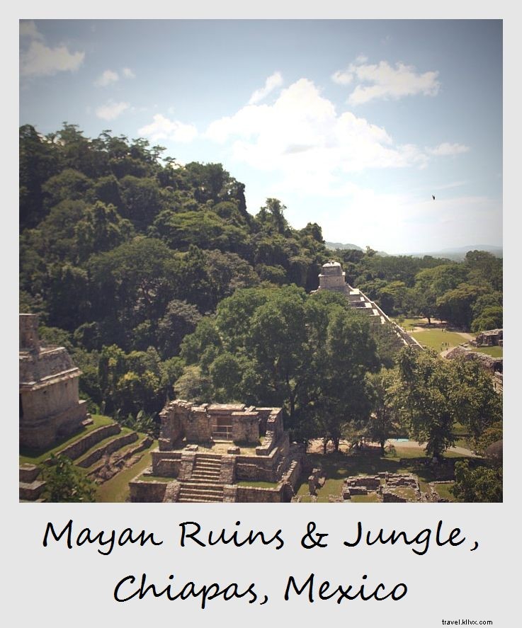 Photo of the Week: Majestic Mayan Ruins of Palenque in Chiapas Jungle, Mexico