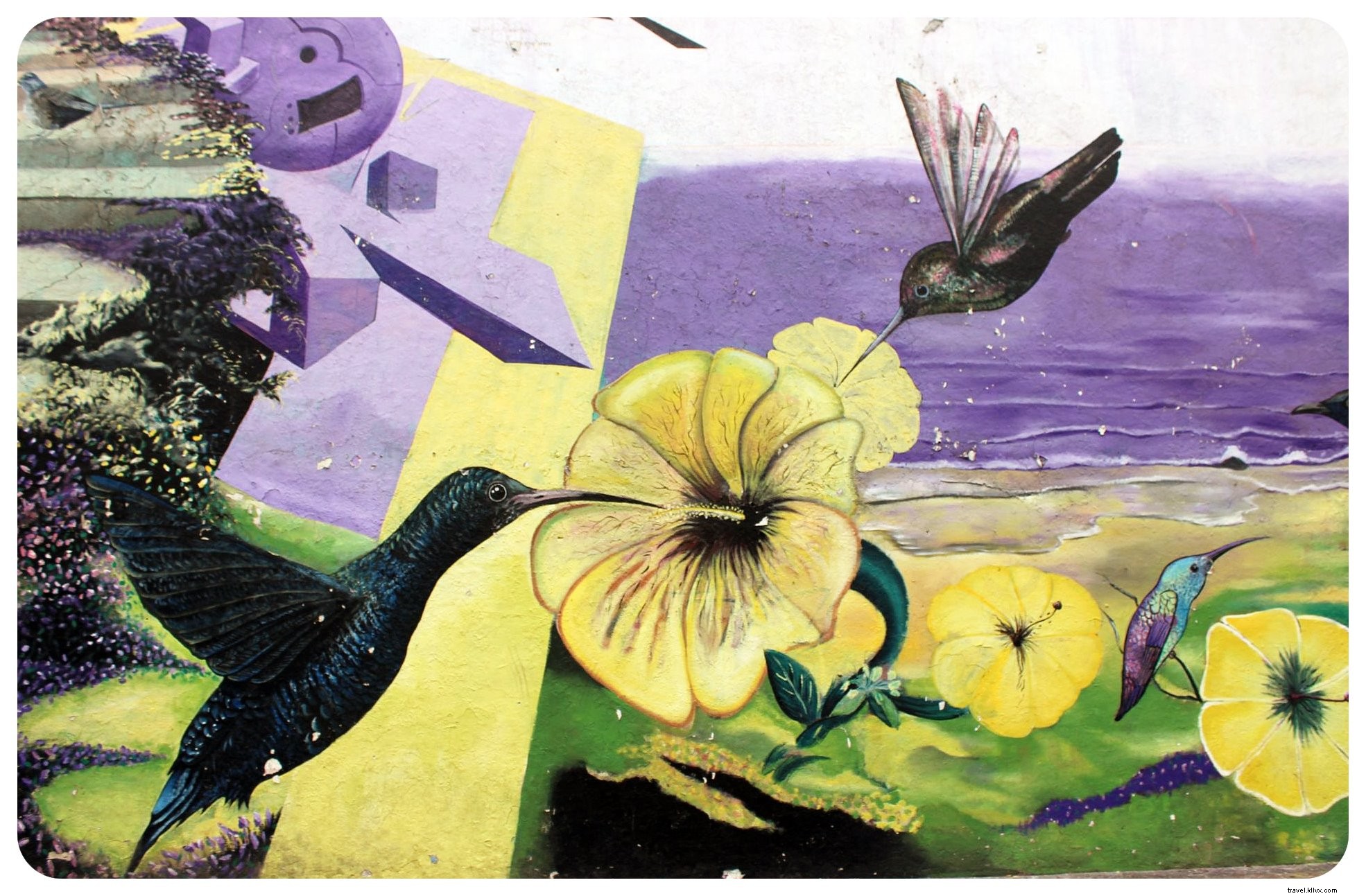 Discover Authentic Mexico: Art, Mariachis, and Tequila in Guadalajara