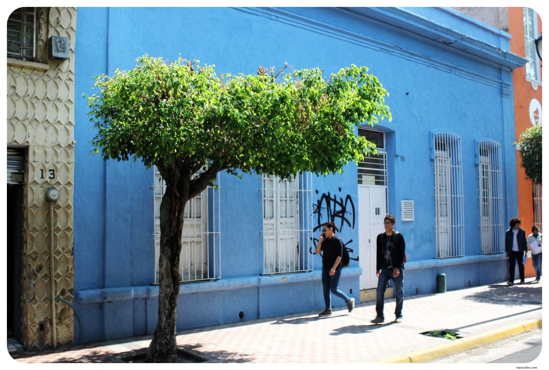 Discover Authentic Mexico: Art, Mariachis, and Tequila in Guadalajara