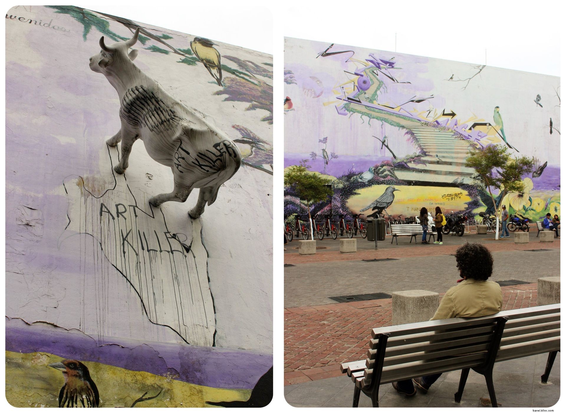 Discover Authentic Mexico: Art, Mariachis, and Tequila in Guadalajara