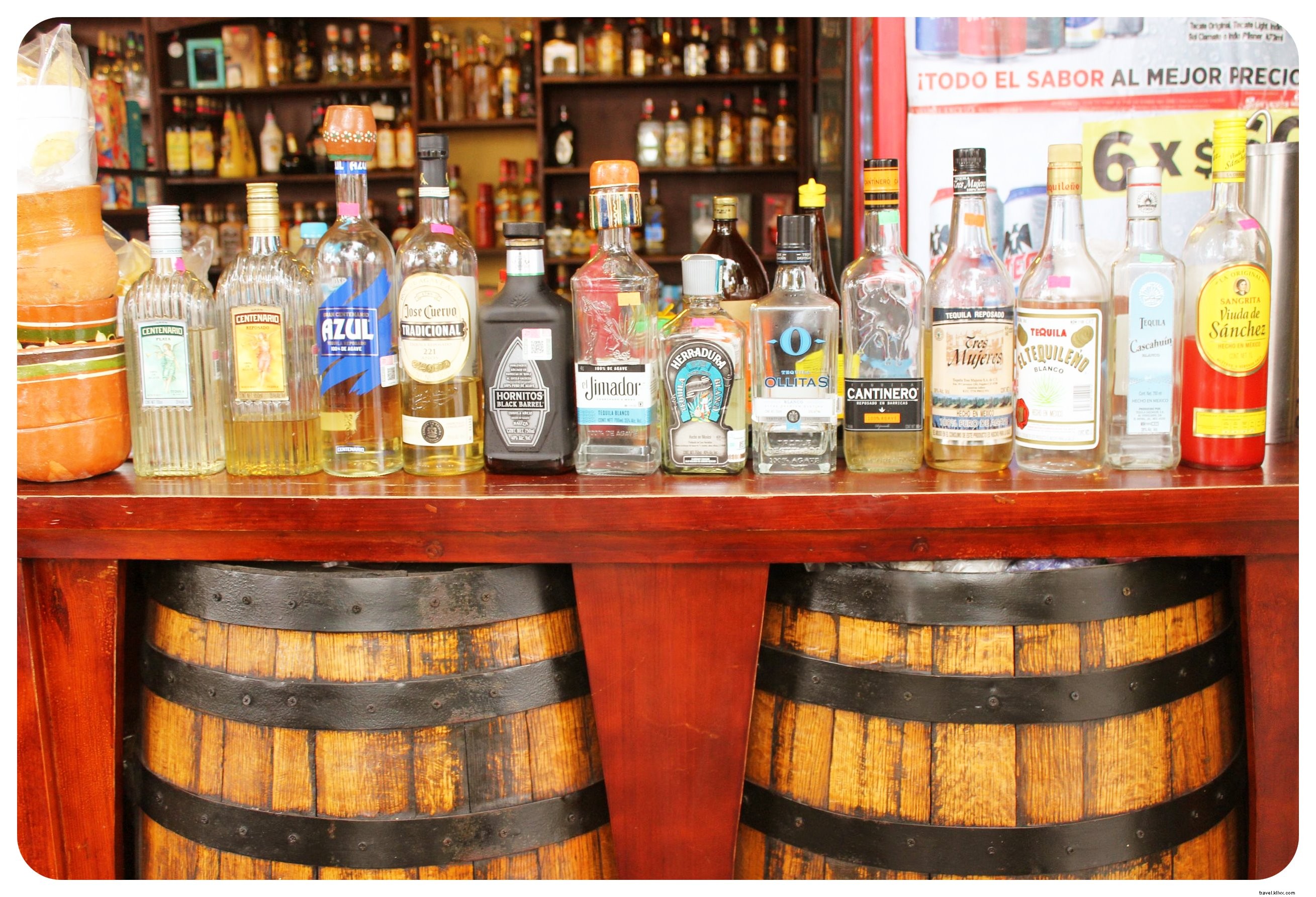 Discover Authentic Mexico: Art, Mariachis, and Tequila in Guadalajara