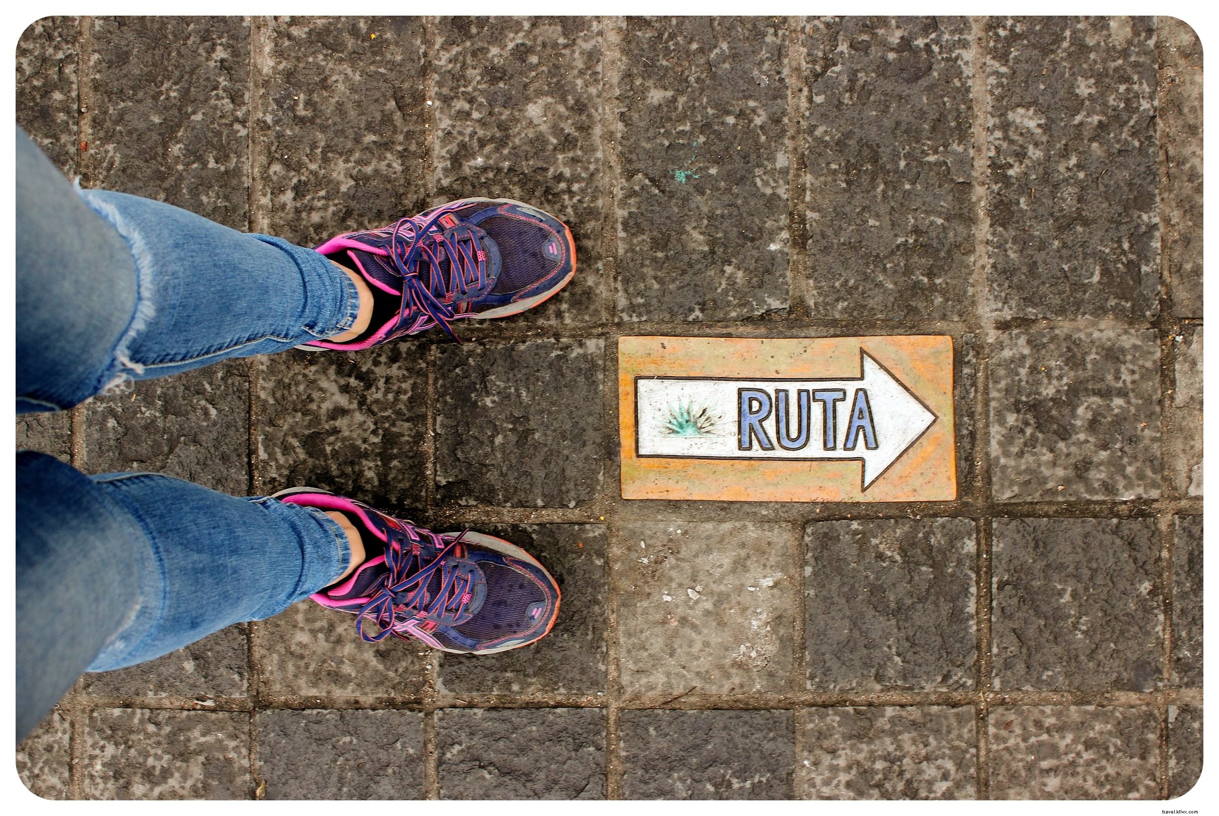 Discover Authentic Mexico: Art, Mariachis, and Tequila in Guadalajara