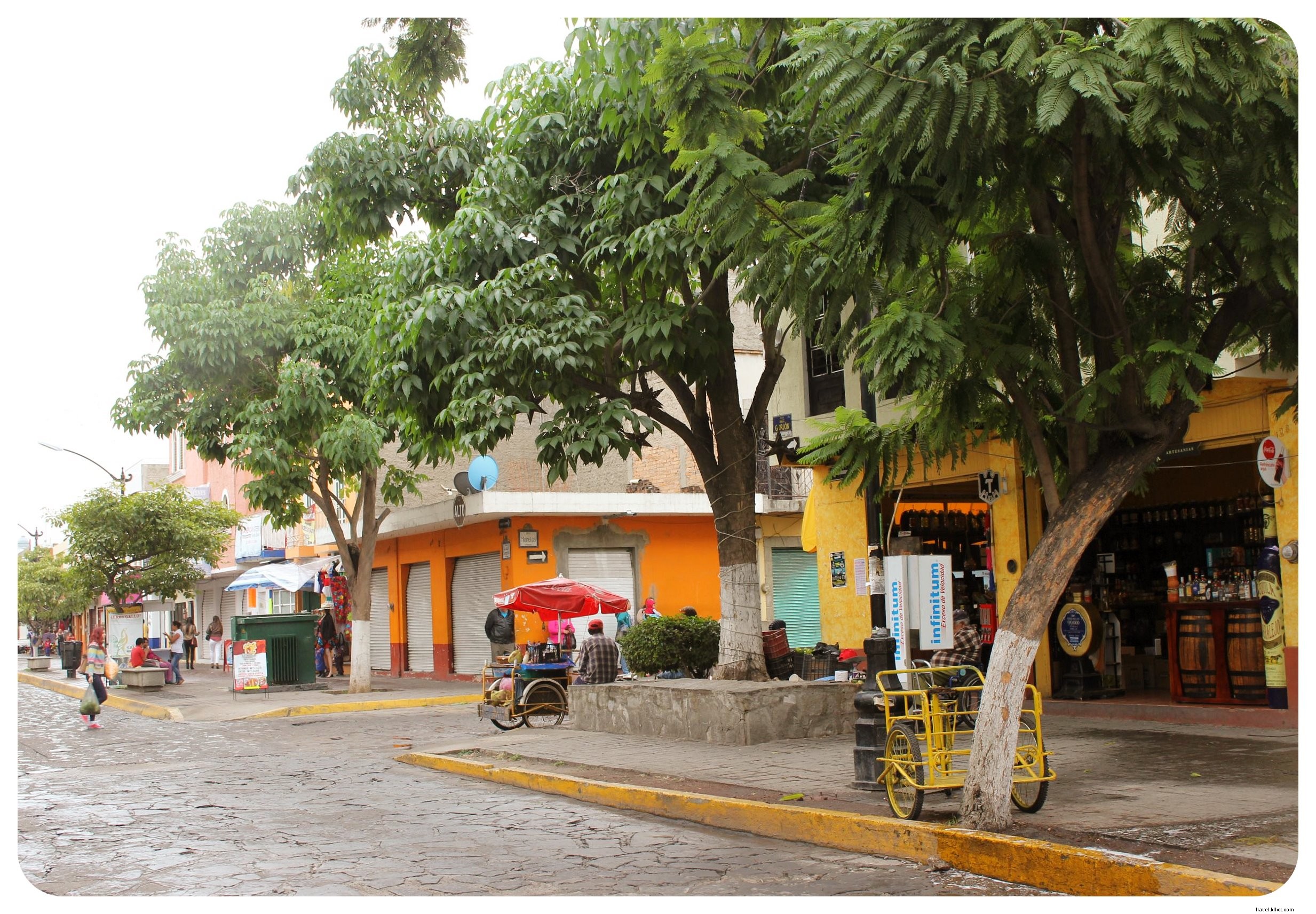 Discover Authentic Mexico: Art, Mariachis, and Tequila in Guadalajara