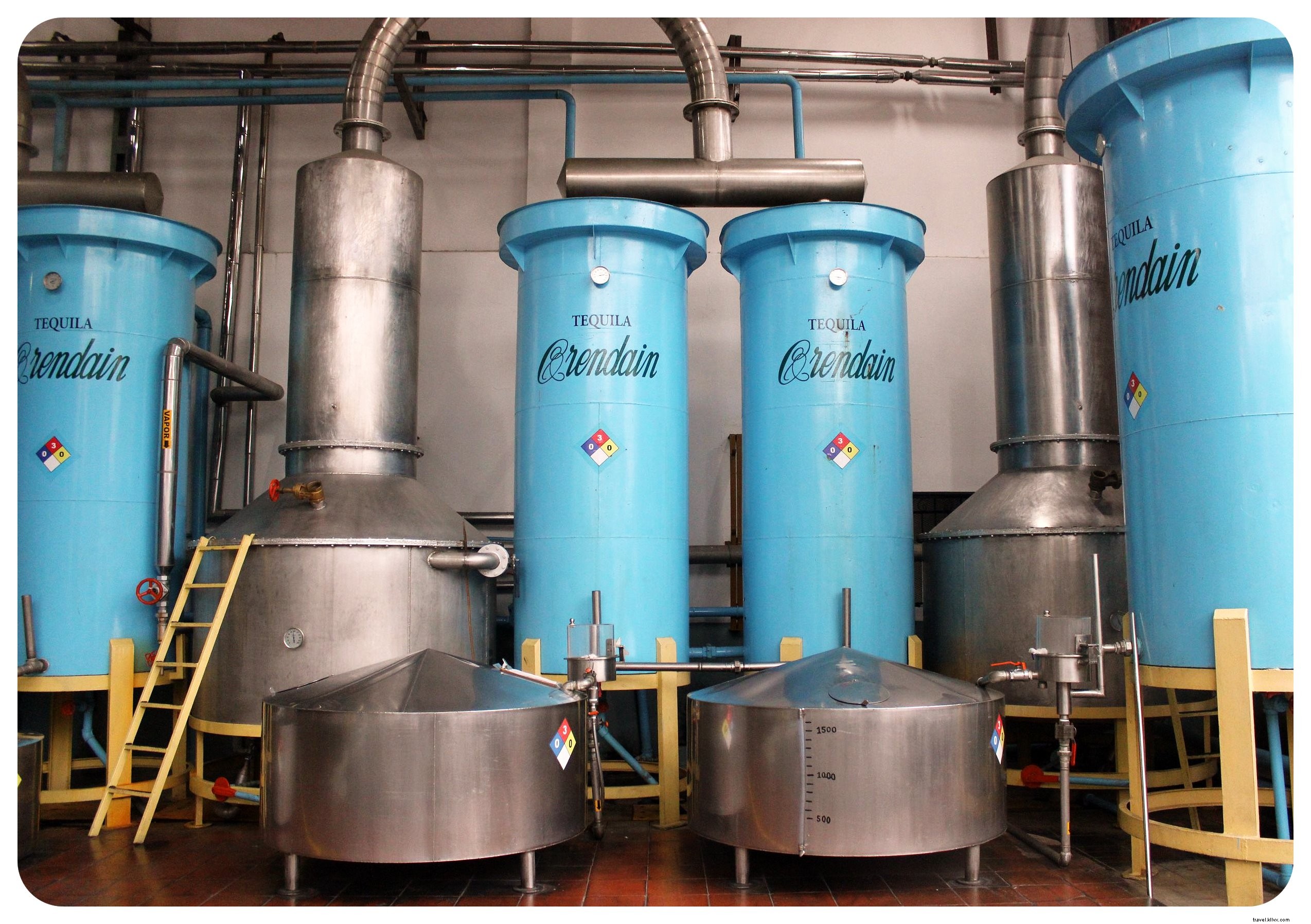 Discover Authentic Mexico: Art, Mariachis, and Tequila in Guadalajara