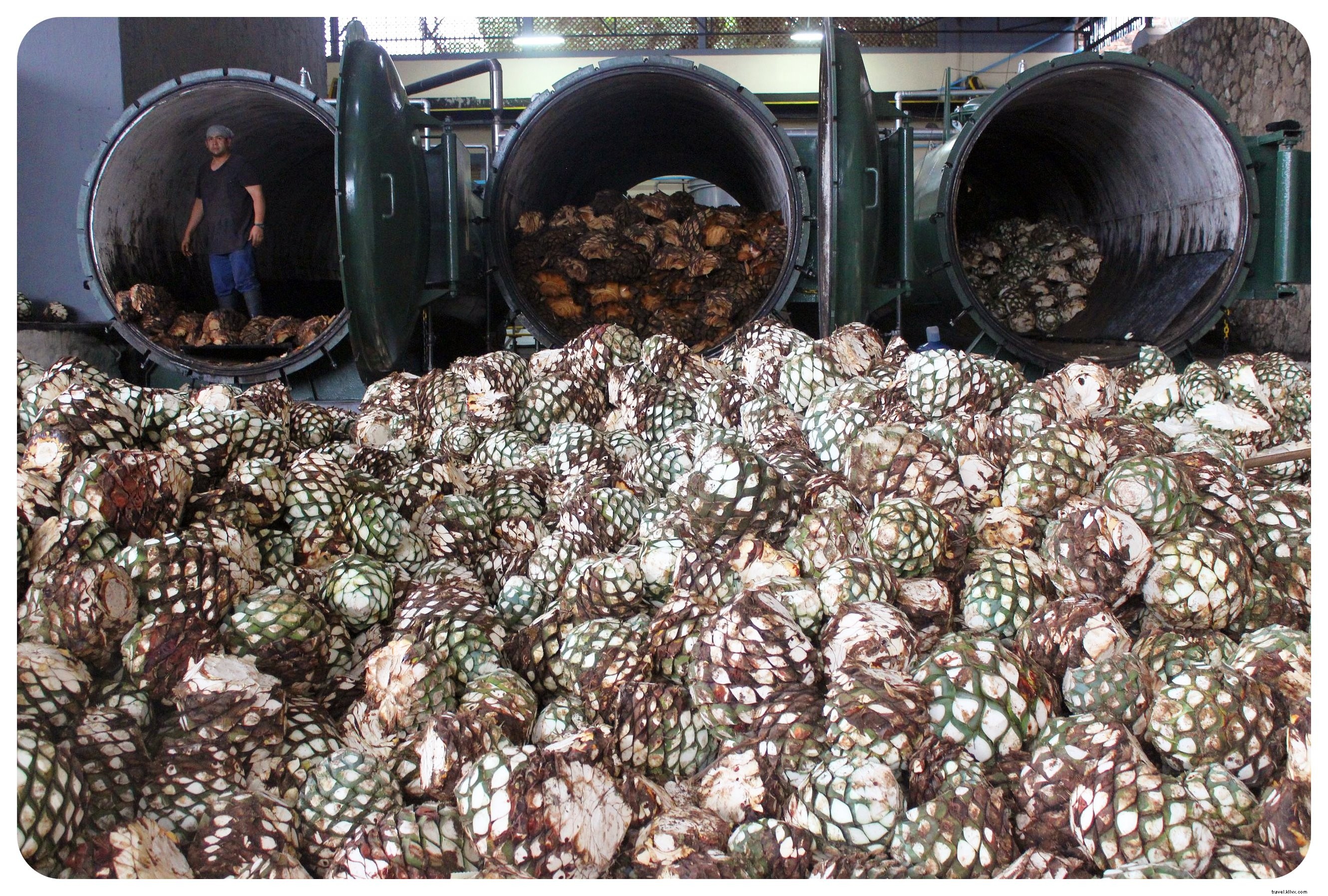 Discover Authentic Mexico: Art, Mariachis, and Tequila in Guadalajara