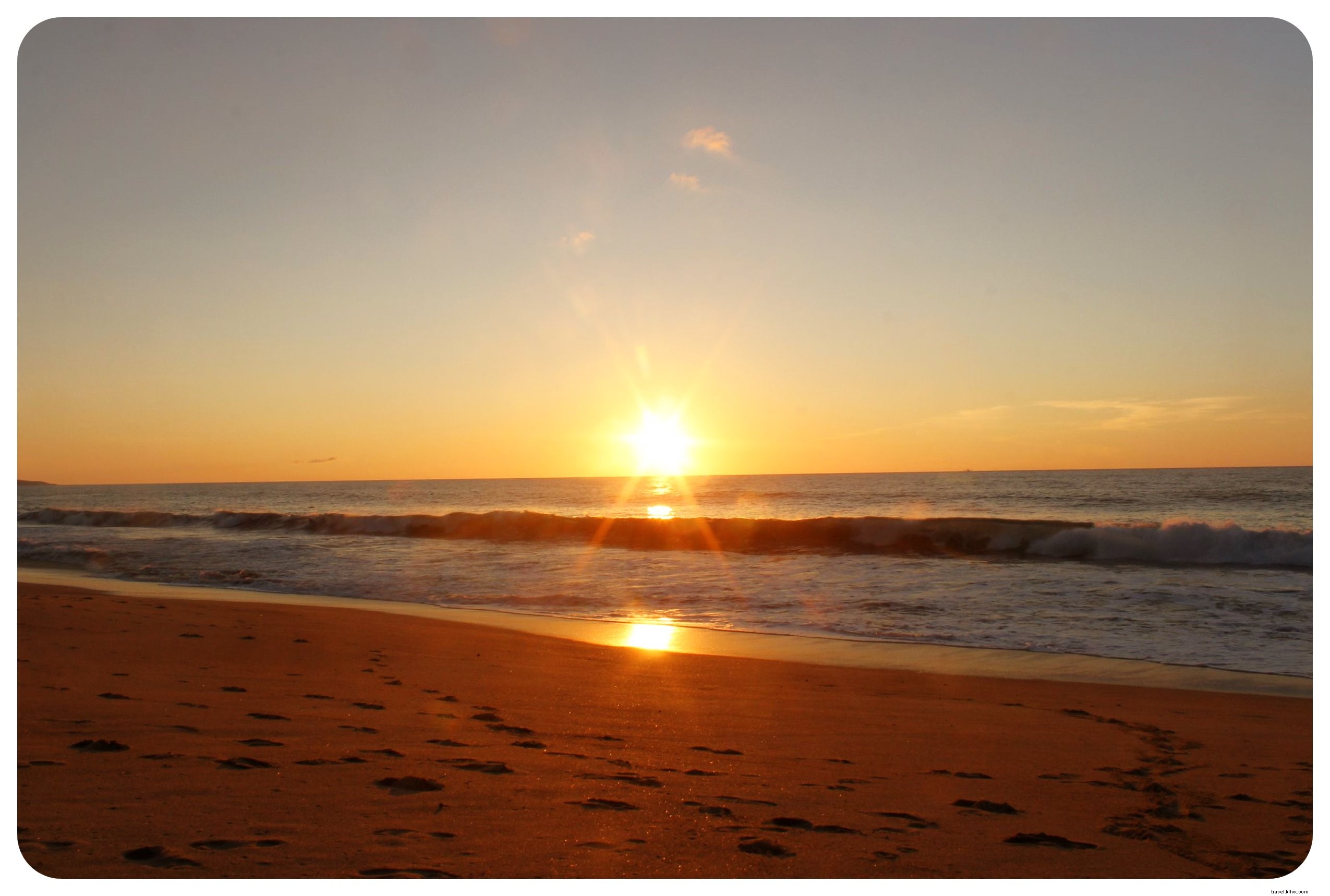 Beach Hopping in Mexico s Riviera Nayarit: Exploring Sayulita, San Pancho, and Puerto Vallarta