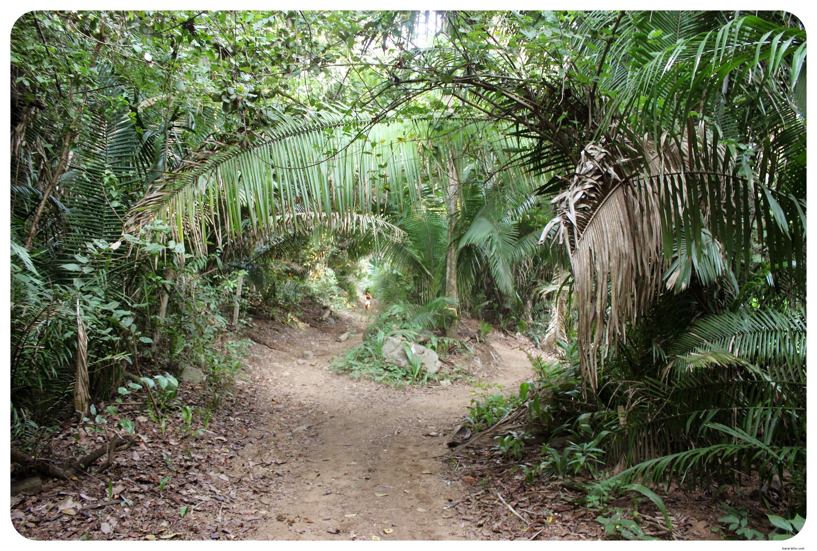 Beach Hopping in Mexico s Riviera Nayarit: Exploring Sayulita, San Pancho, and Puerto Vallarta