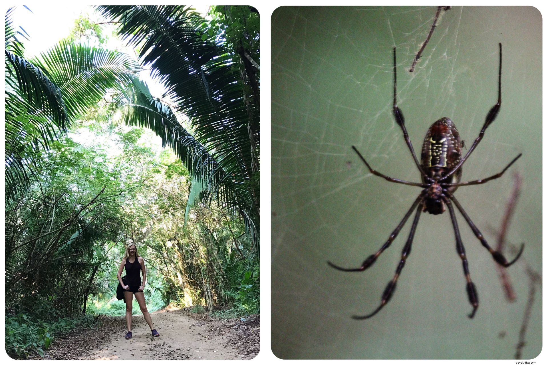 Beach Hopping in Mexico s Riviera Nayarit: Exploring Sayulita, San Pancho, and Puerto Vallarta