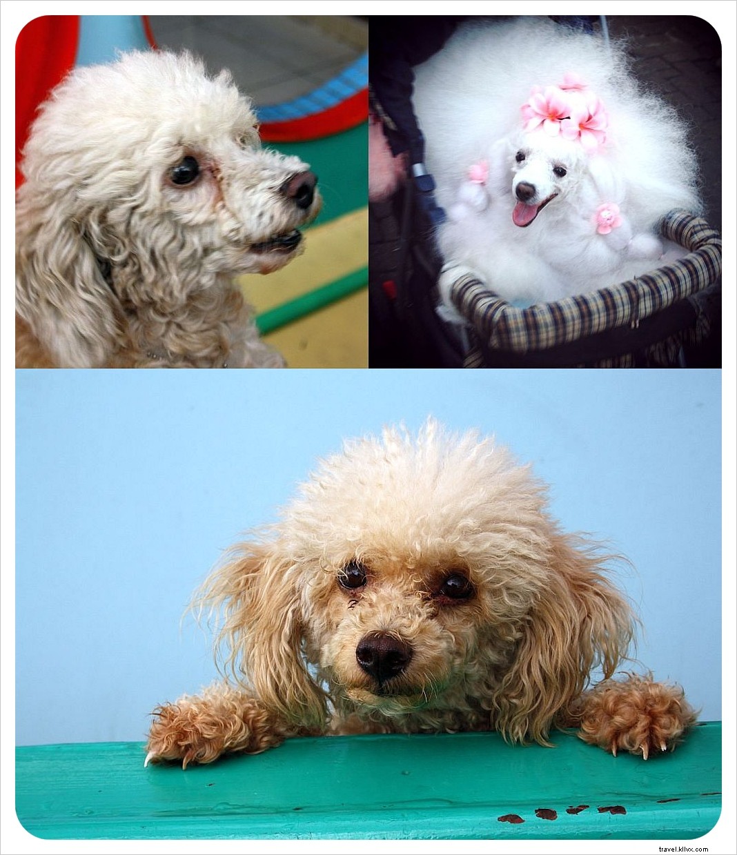 First Impressions of Thailand: A Traveler s Delight in the Land of Smiles