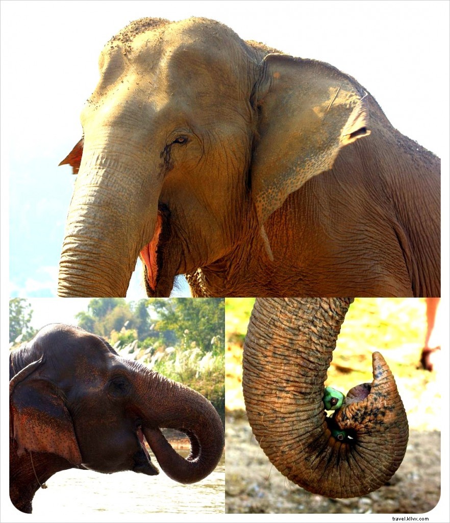 First Impressions of Thailand: A Traveler s Delight in the Land of Smiles