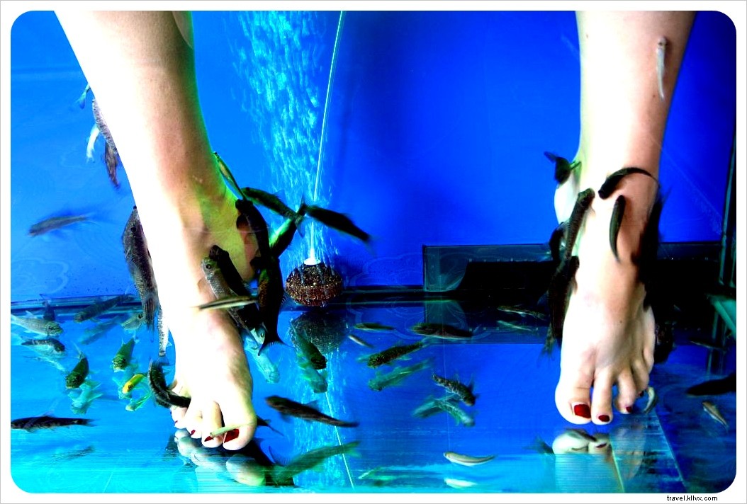 First Impressions of Thailand: A Traveler s Delight in the Land of Smiles