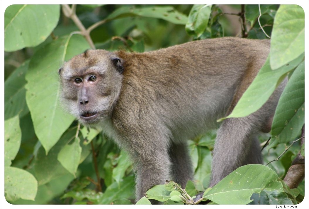 5 Compelling Reasons Thailand is the Ultimate Winter Escape