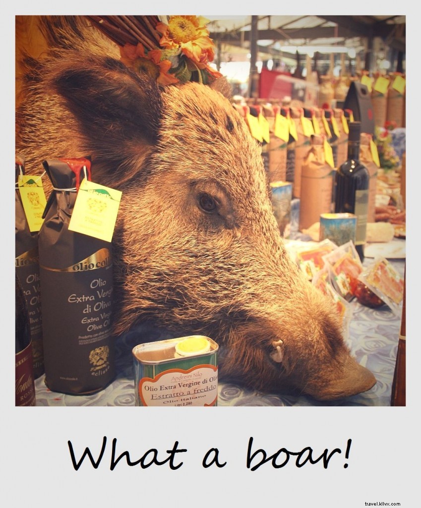 Polaroid of the Week: Stuffed Boar s Head at Lucca Market, Tuscany, Italy