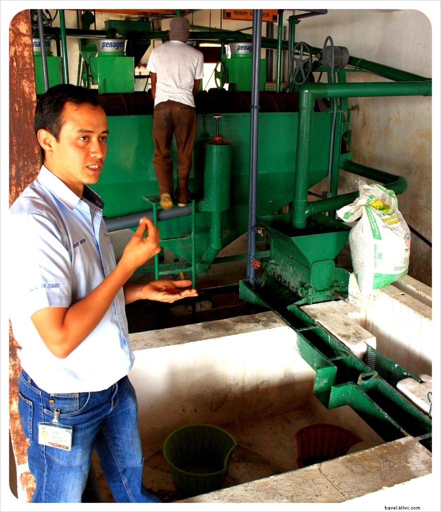 Finca Filadelfia: An Immersive Coffee Tour from Farm to Cup Near Antigua, Guatemala