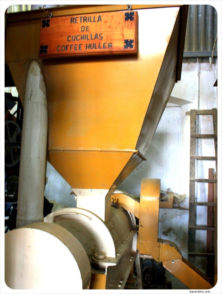 Finca Filadelfia: An Immersive Coffee Tour from Farm to Cup Near Antigua, Guatemala