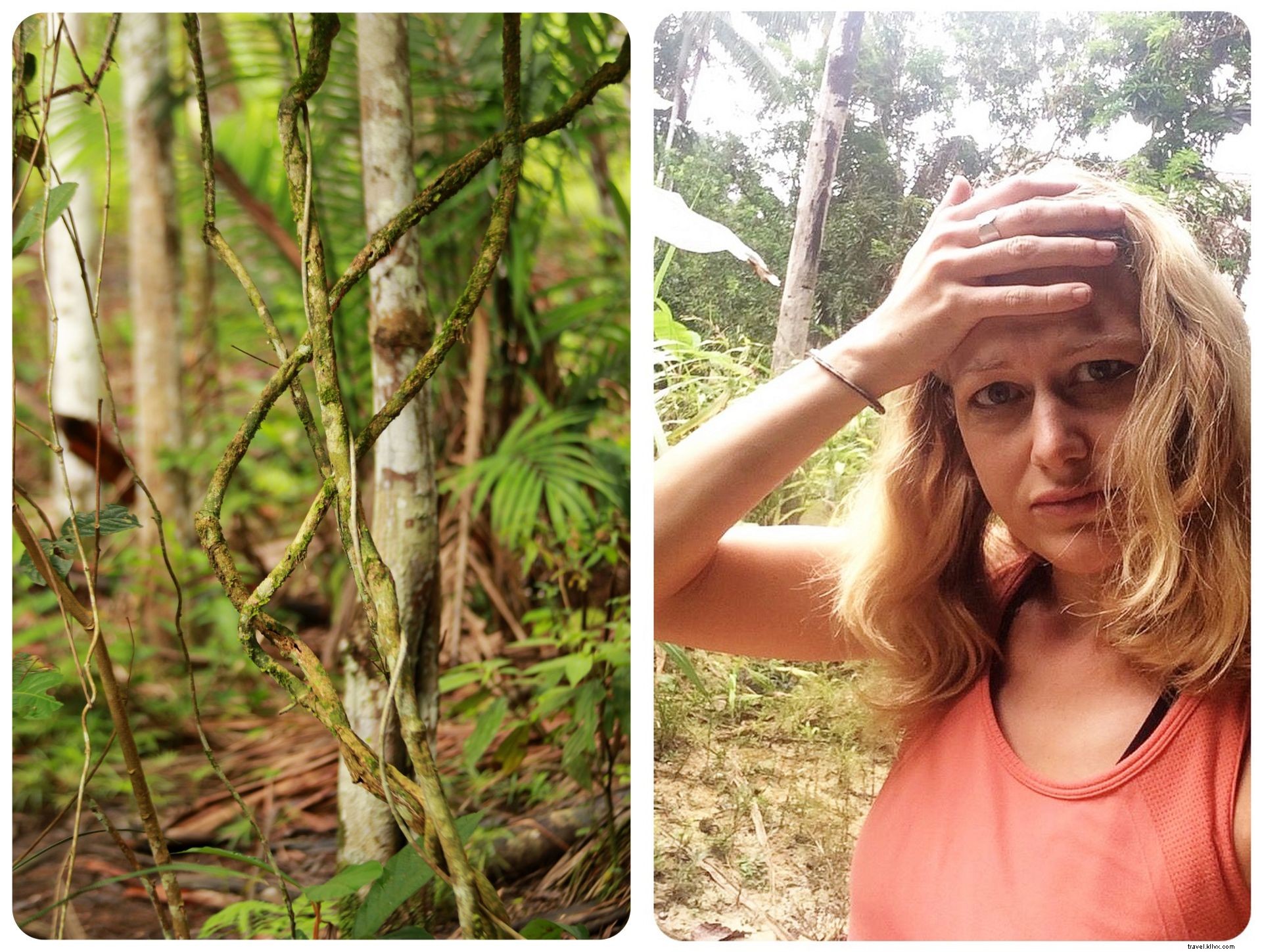 February 2016 Colombia Travel Diary: Lost City Trek, Amazon Adventures & Upcoming Plans