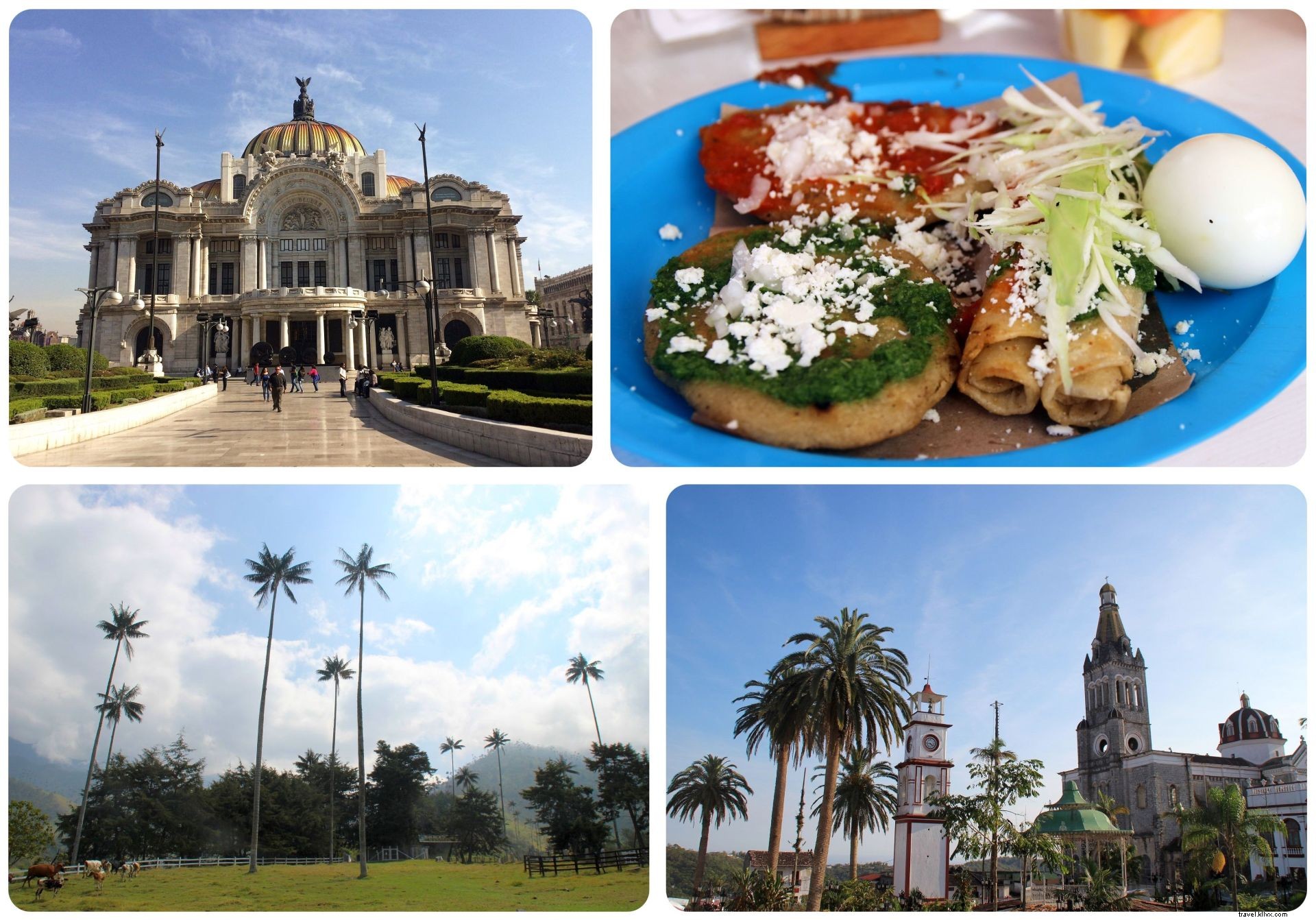 March 2016 Travel Recap: From Colombia s Amazon to Mexico City and What s Next