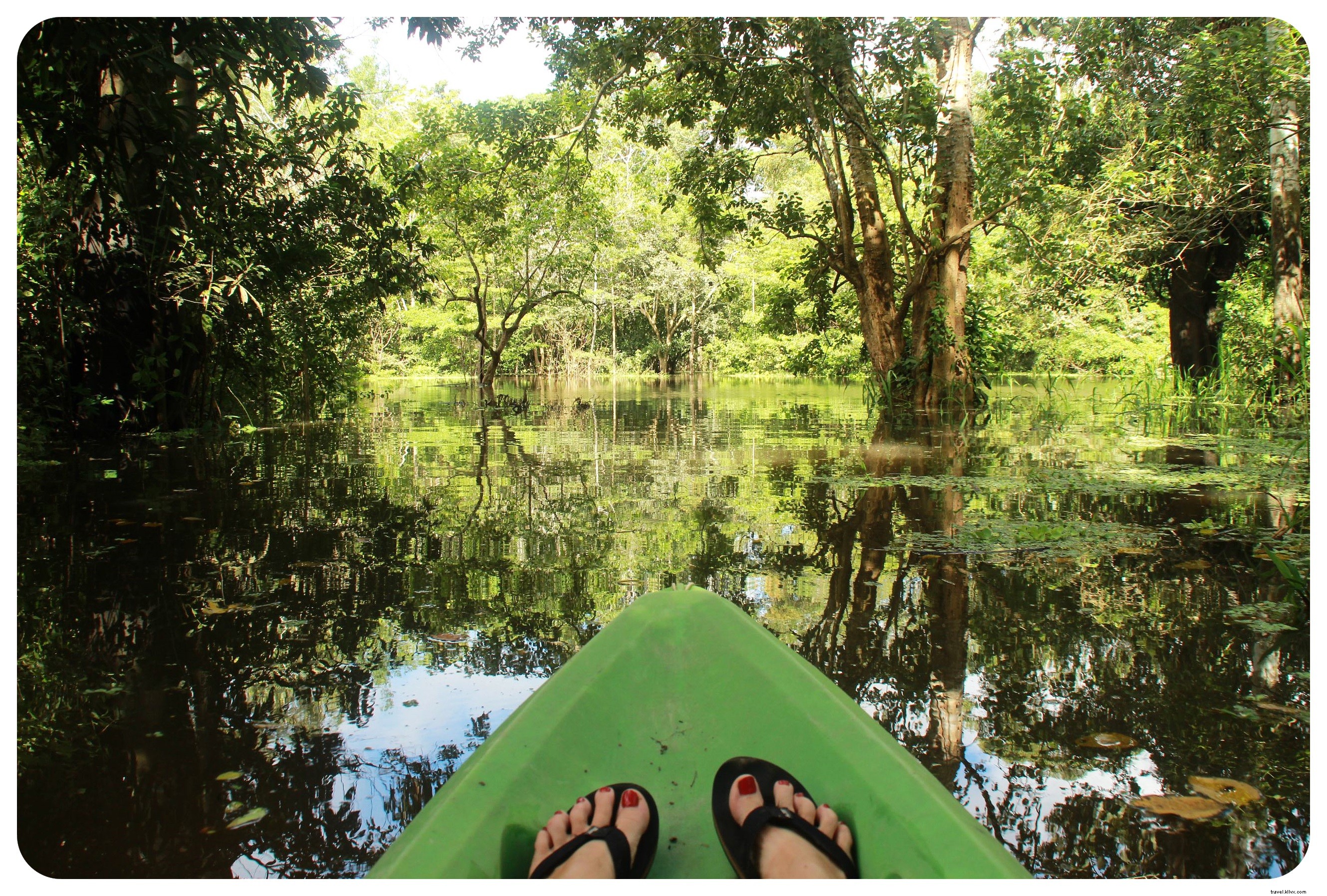 March 2016 Travel Recap: From Colombia s Amazon to Mexico City and What s Next