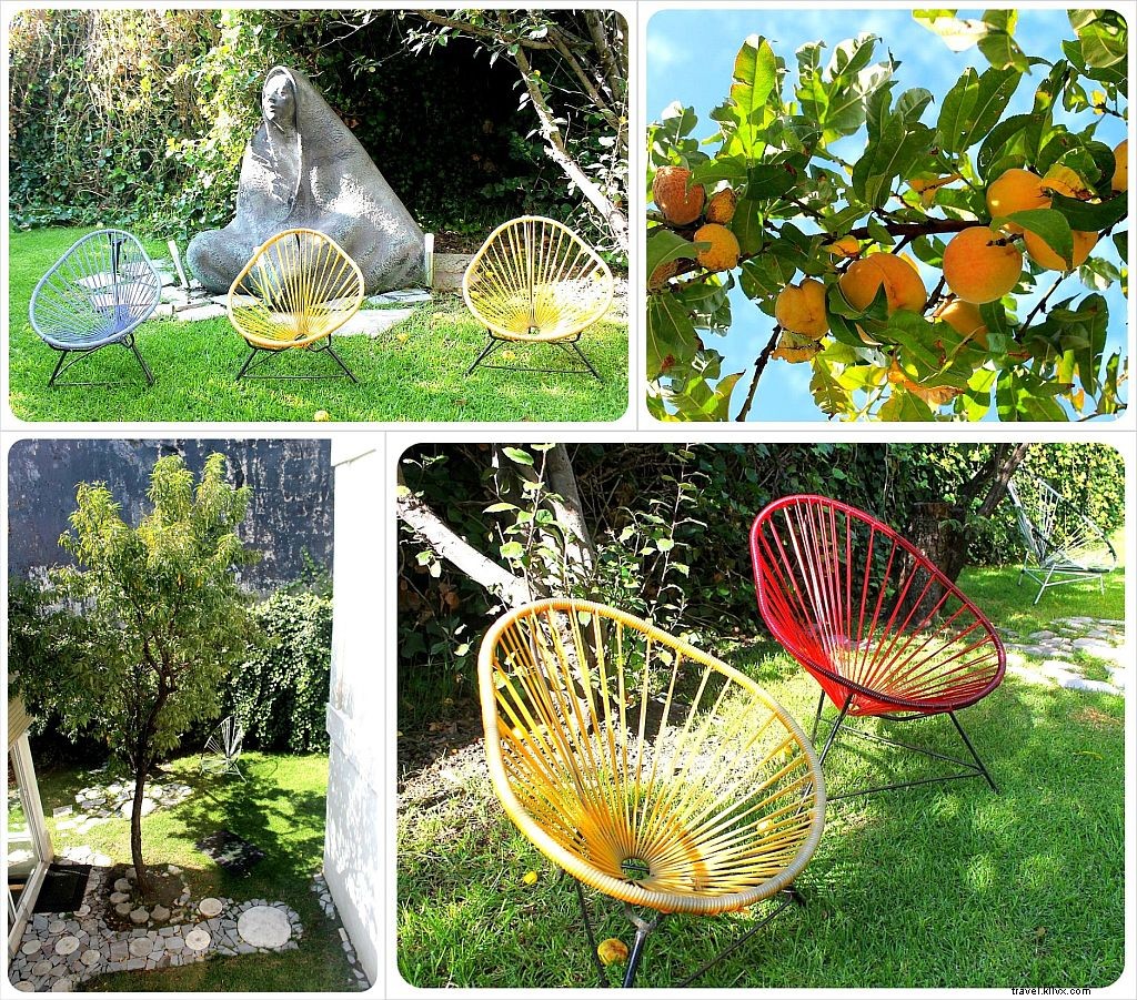 Casa Roa B&B Review: Authentic Mexican Charm in Mexico City s Satelite Neighborhood