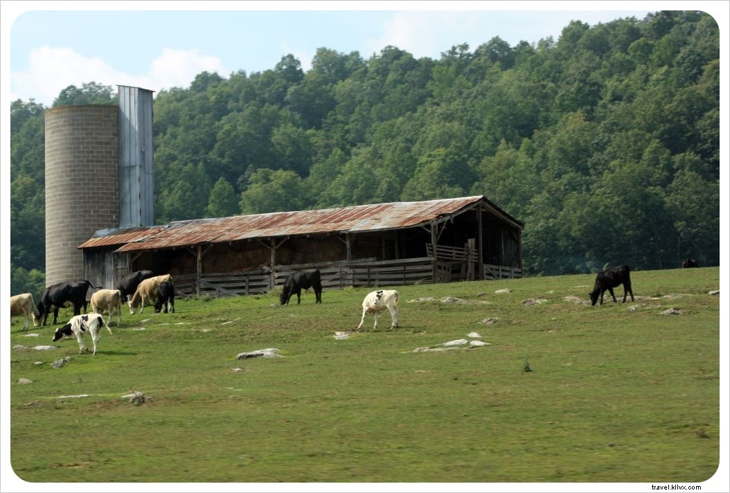 Unforgettable 2011 Road Trip: Serendipitous Detour from Washington D.C. to Blue Ridge Mountains and Asheville