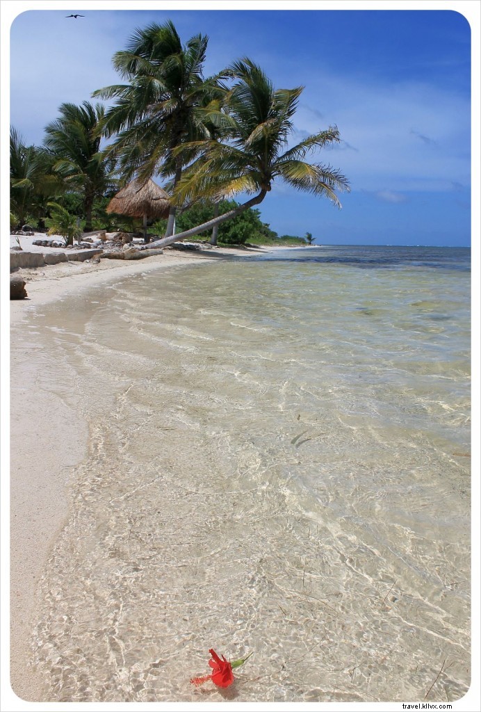 900 Days of Nomadic Travel: Honest Reflections on Whimsy, Housesitting, and City Dreams