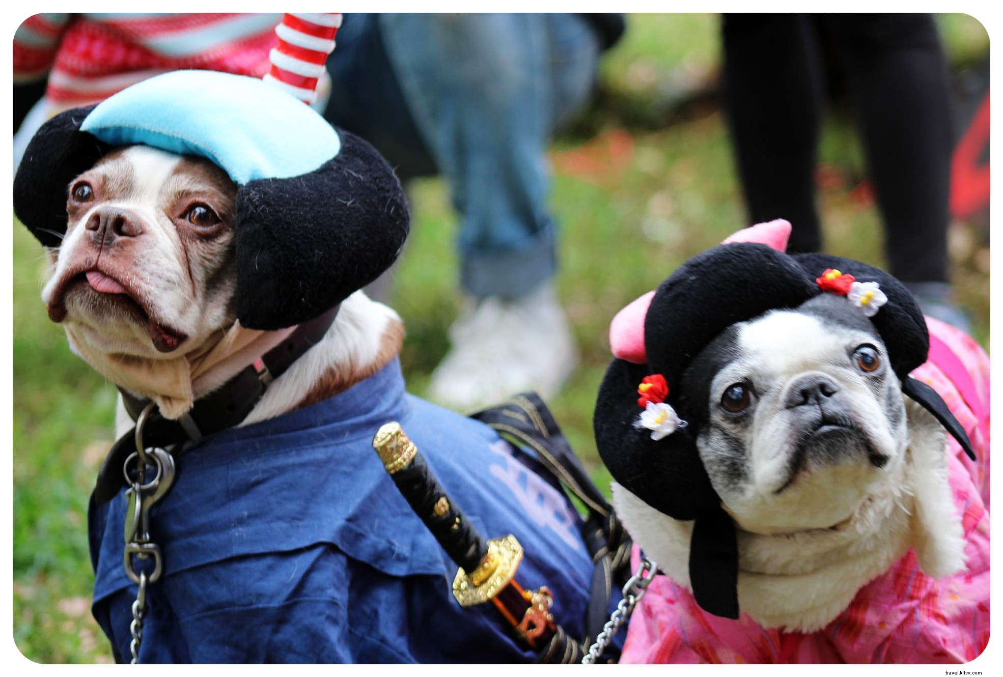 October 2014 Travel Recap: Life Updates, Recent Trips, and What s Ahead