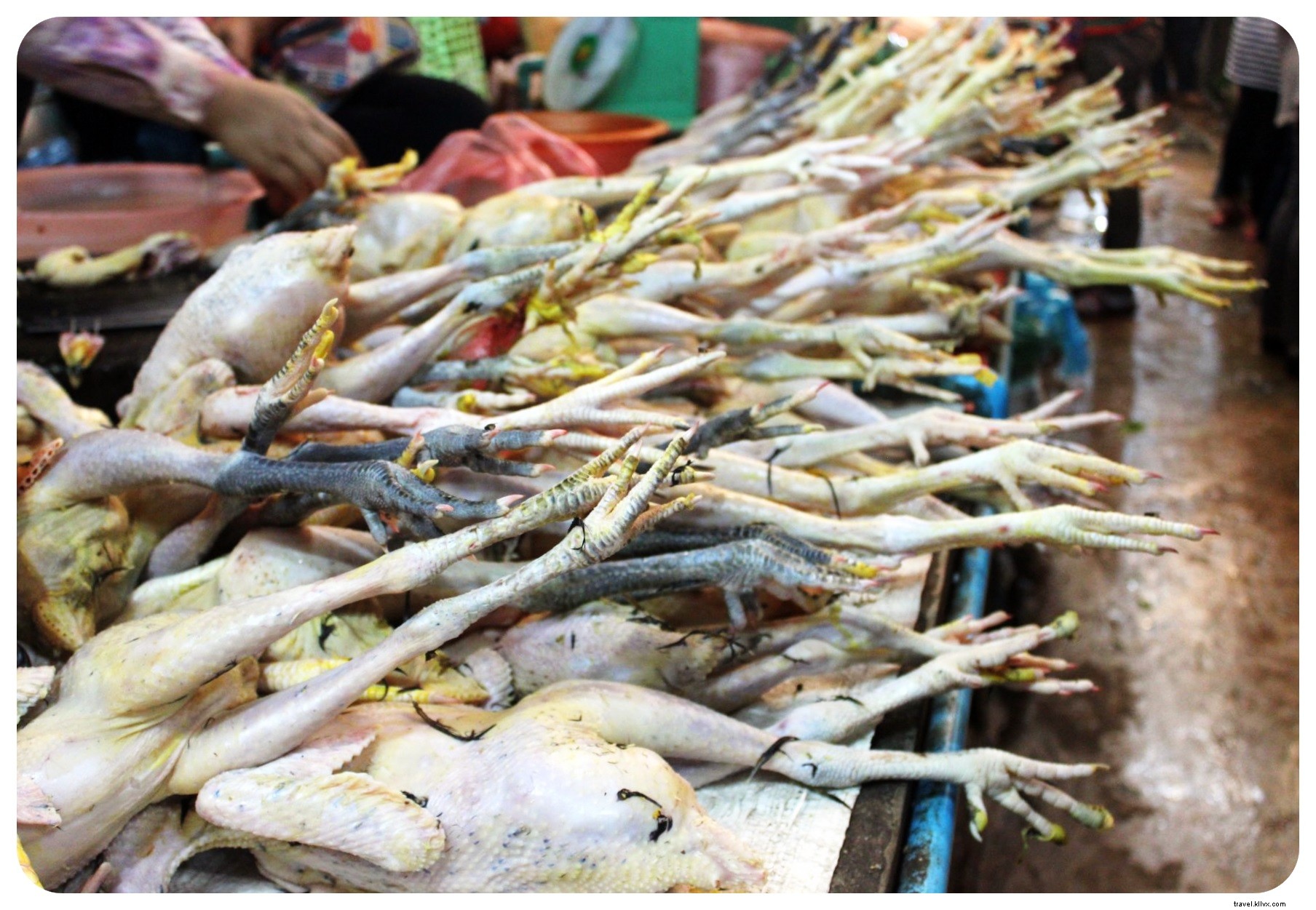 March 2015 Travel Roundup: Thailand, Cambodia Adventures, Challenges, and What s Next