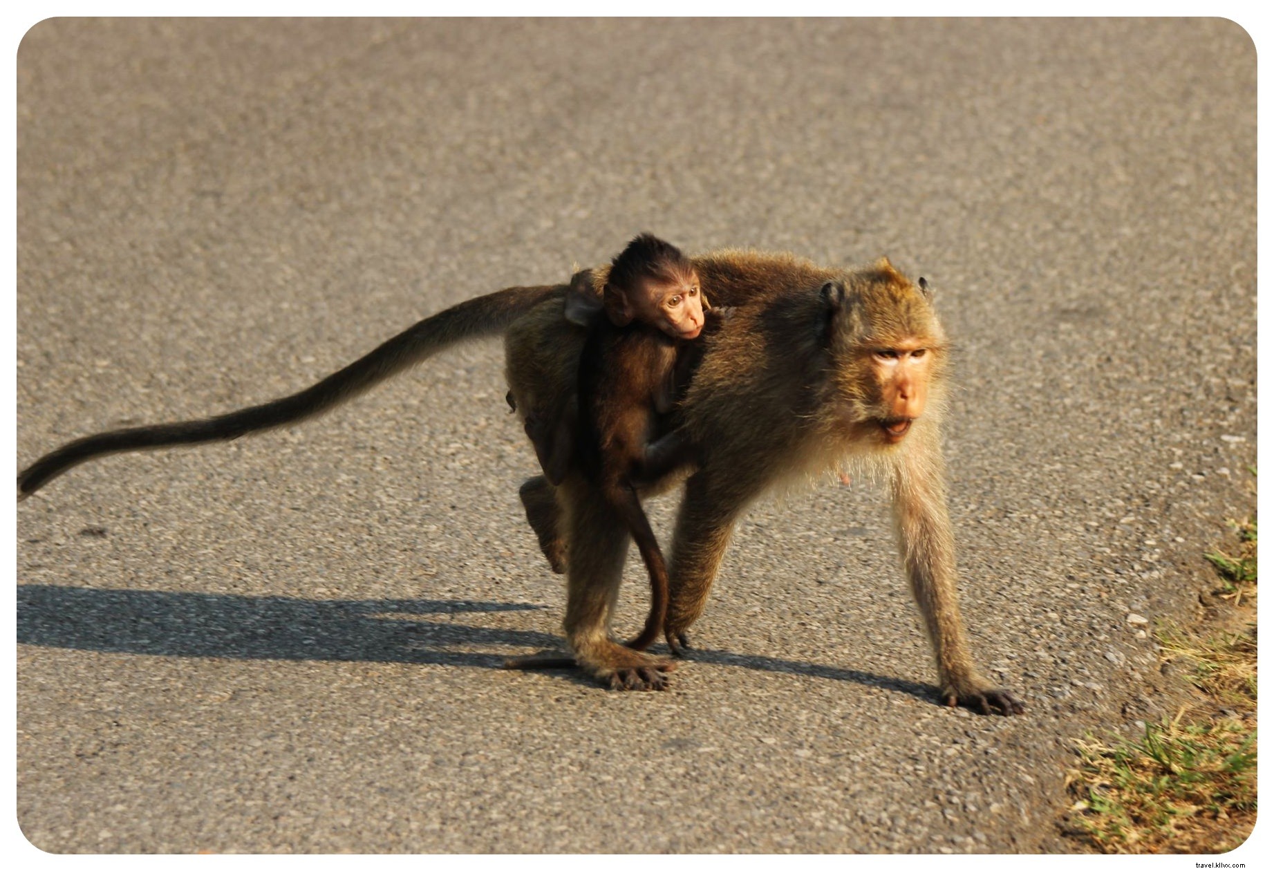 March 2015 Travel Roundup: Thailand, Cambodia Adventures, Challenges, and What s Next